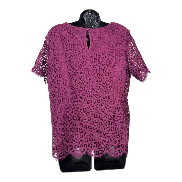 Philosophy Women's Short Sleeve Scoop Neck Lace Top Size S - Picture 2 of 5